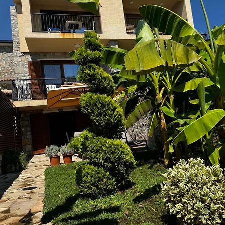 Reina Apartment Petrovac ภายนอก รูปภาพ
